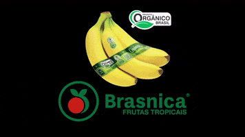Brazil Banana GIF by brasnicaoficial