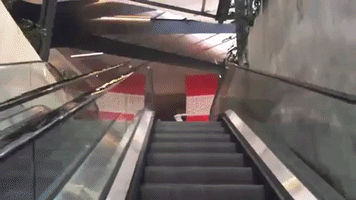 GIF by Fresh Salads