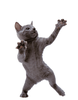 Bibou Sticker