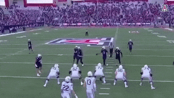 Arizona Wildcats Ncaa GIF by Arizona Athletics