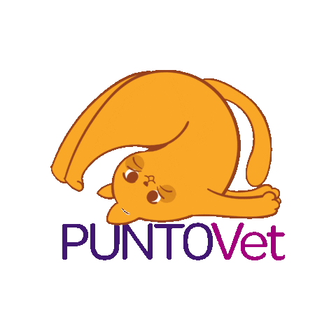 PuntoVet Sticker