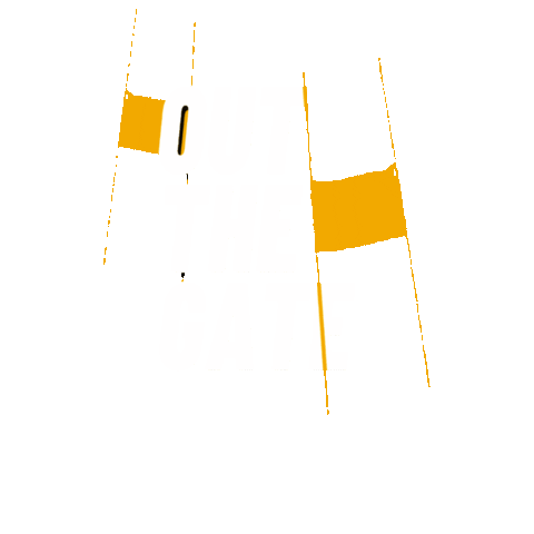 Paralympics New Zealand Sticker