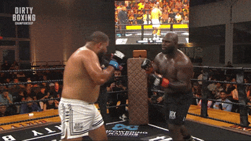 Knockout Combat Sports GIF by Dirty Boxing Championship