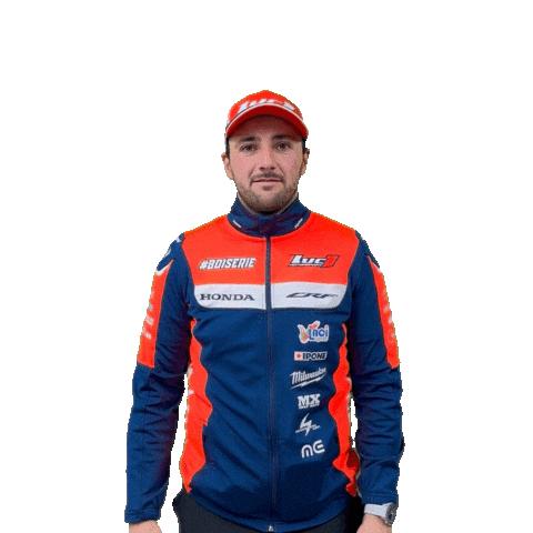 Gaz Boiserie Sticker by Luc1