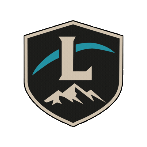 Lappi Security Sticker
