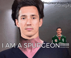 Minnesota Wild Hockey GIF