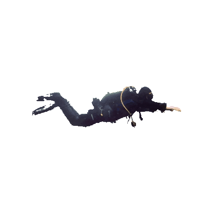 Divemaster Scuba Sticker