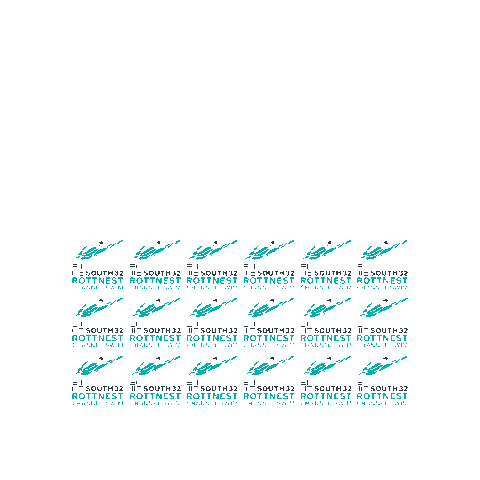 South32 Rottnest Channel Swim Sticker