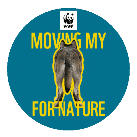 Wwf 20Kmbxl Sticker by WWF-Belgium