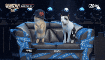 Show Me The Snack GIF