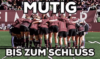 Fcn GIF