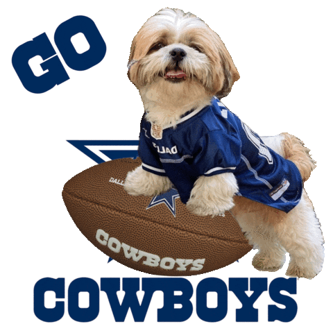 Dallas Cowboys Pet Jersey