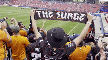 H Town Houston GIF by The Surge