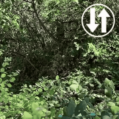 Live Music Watch GIF by Warwickshire Arts