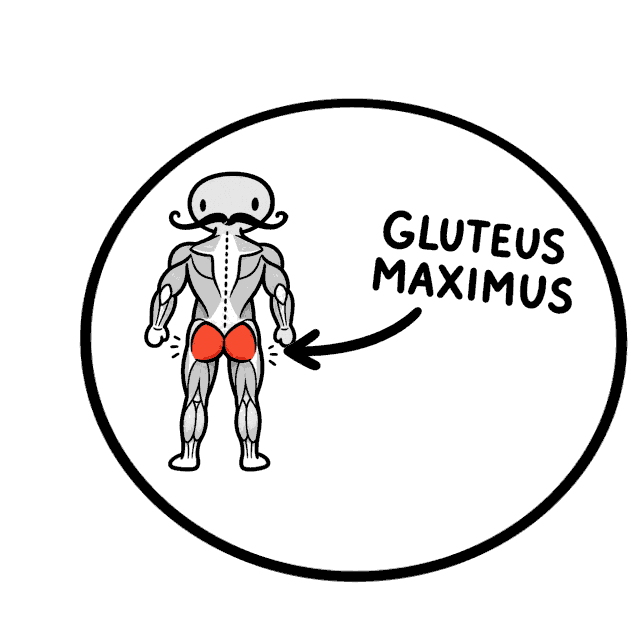 Workout Education Sticker by Grex