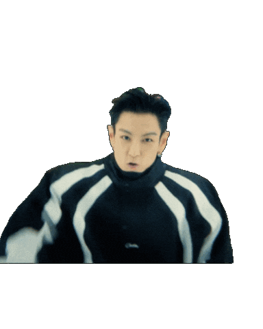 Choi Seunghyun Top Sticker