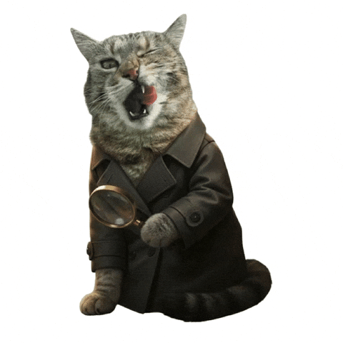 Sherlock Holmes Cat GIF