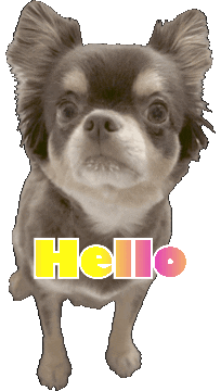 Dog Hello Sticker