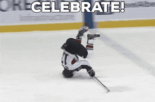 SPORTESI celebrate hockey win winner GIF
