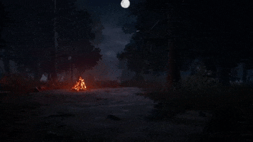 Campfire GIF