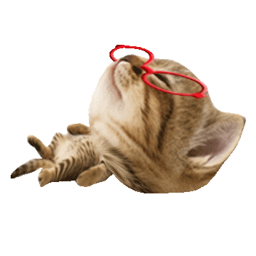 Sleepy Cat Sticker
