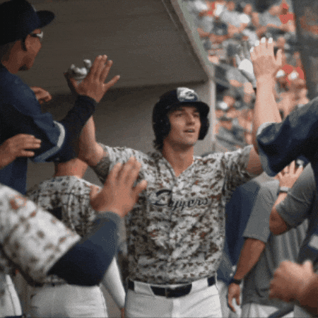 High Five Columbus Clippers GIF by Clippers Baseball