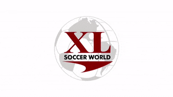 XL soccer world GIF