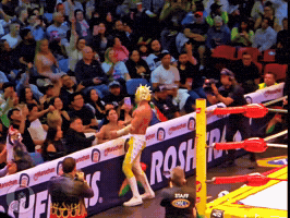 Lucha Libre Kiss GIF