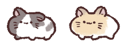 Pig Sticker
