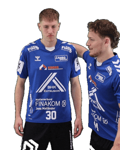 Handball Sticker by HSGSpradow