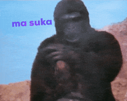 Monkey GIF