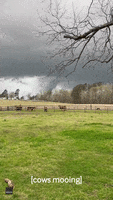 New Orleans Storm GIF by Storyful
