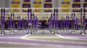 Gold Running GIF by LSU Tigers