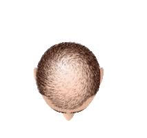 Hair Sticker by aoaesthetics