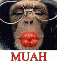 monkey lips GIF