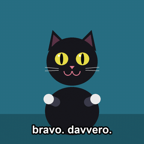 Black Cat Applause GIF by Lorenzo Susca