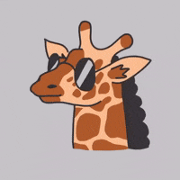 200.gif?cid=fc005b085d654addf0c0795addeb970be8a0ca06303f777f&rid=200.gif&ct=g