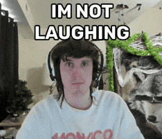 Serious Not Funny GIF