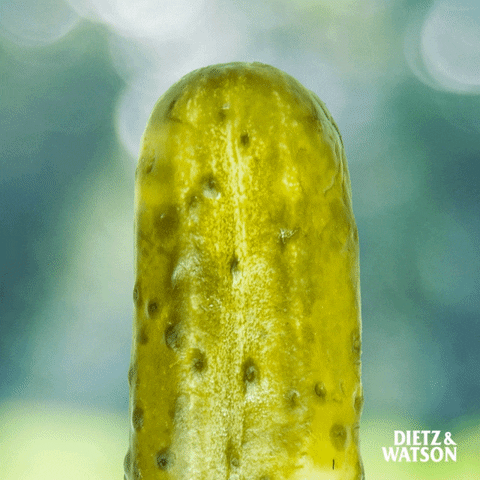 Dill Pickles Deal With It GIF by Dietz & Watson