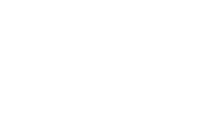 Sticker by Moog Audio