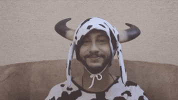 cowboy cow GIF by Menu da Musica