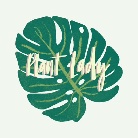 Plants Plant Lady GIF