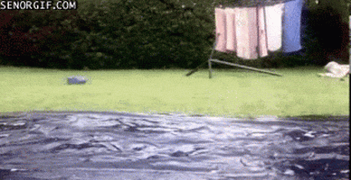 home video win GIF by Cheezburger