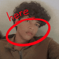 Mujuinsta Here GIF
