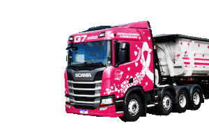 Truck Rosa Sticker by g7log