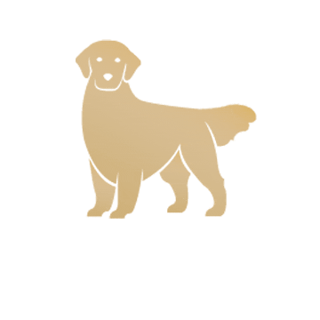 Dog Perrofeliz Sticker by carobibiloni