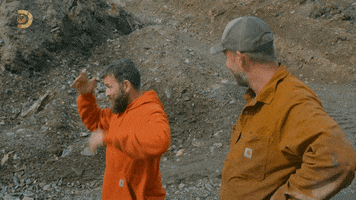 Discovery Channel Gold GIF by Discovery Europe