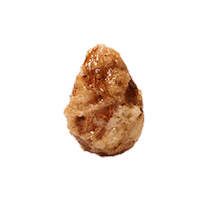 NuttyNuts Sticker