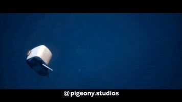 Pigeony_Studios_Official pigeony studios pigeon meme cool pigeon GIF