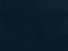 nikitaormonov  GIF